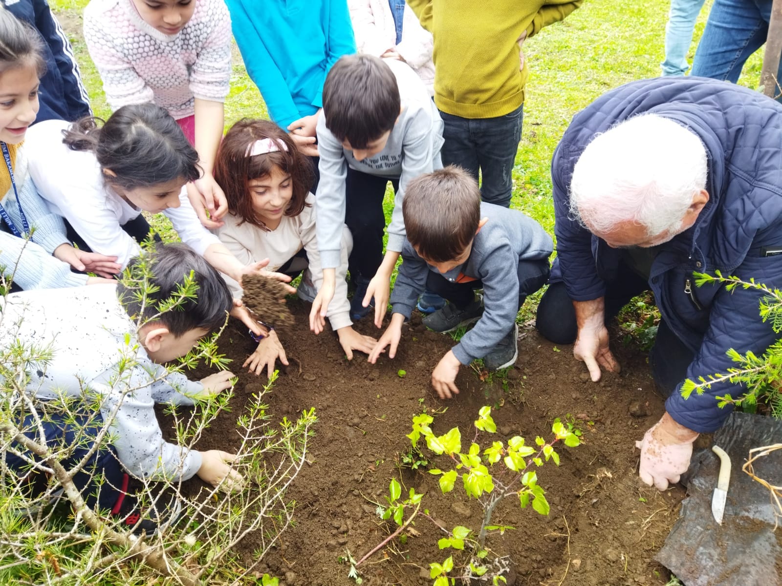HOPA ZİRAAT ODASI KÖYLERDE FİDAN DİKMEYE DEVAM EDİYOR