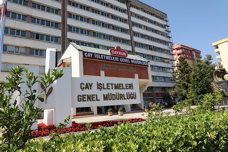 ÇAYKUR Mevsimlik İşçi Alacak